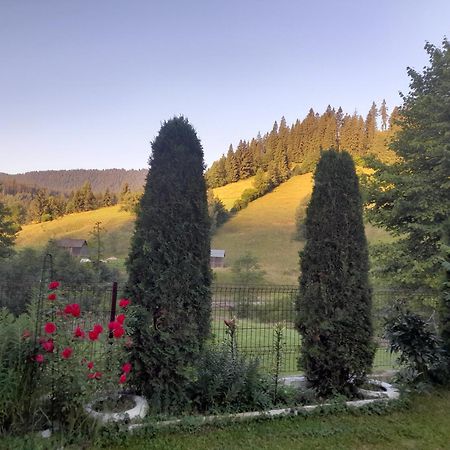 Casa Ionescu Hotell Sadova  Eksteriør bilde