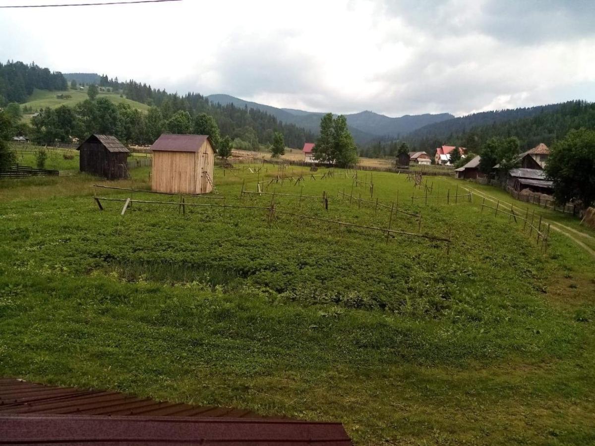 Casa Ionescu Hotell Sadova  Eksteriør bilde