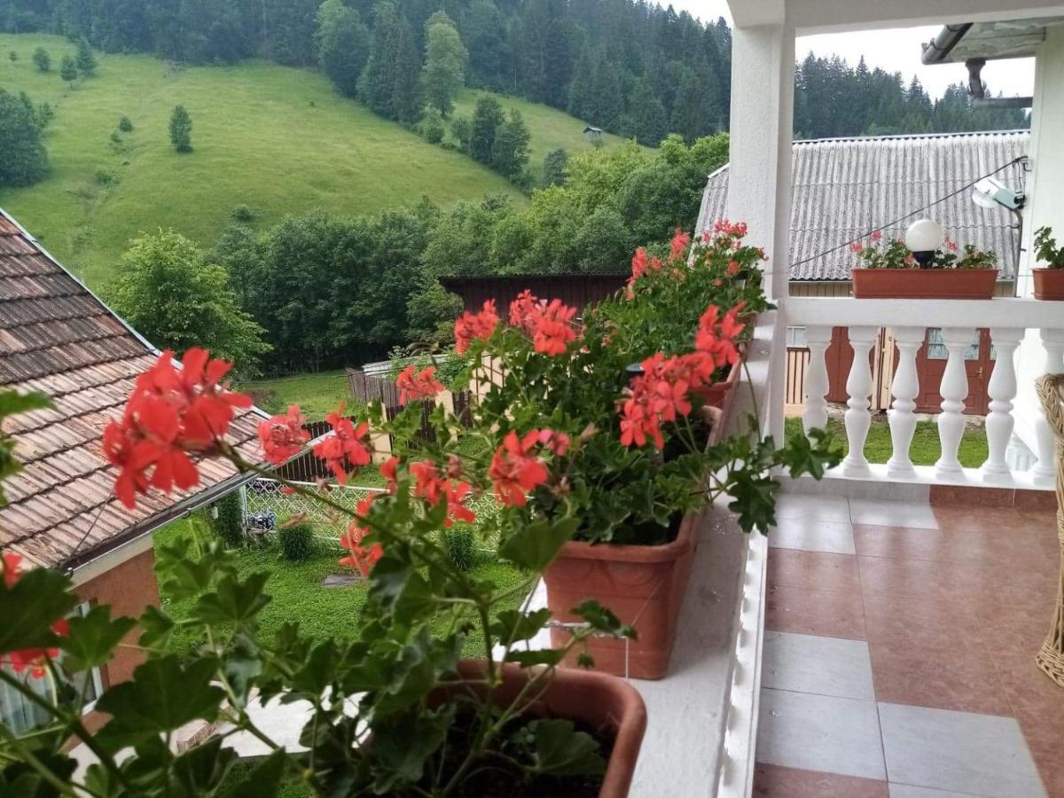 Casa Ionescu Hotell Sadova  Eksteriør bilde