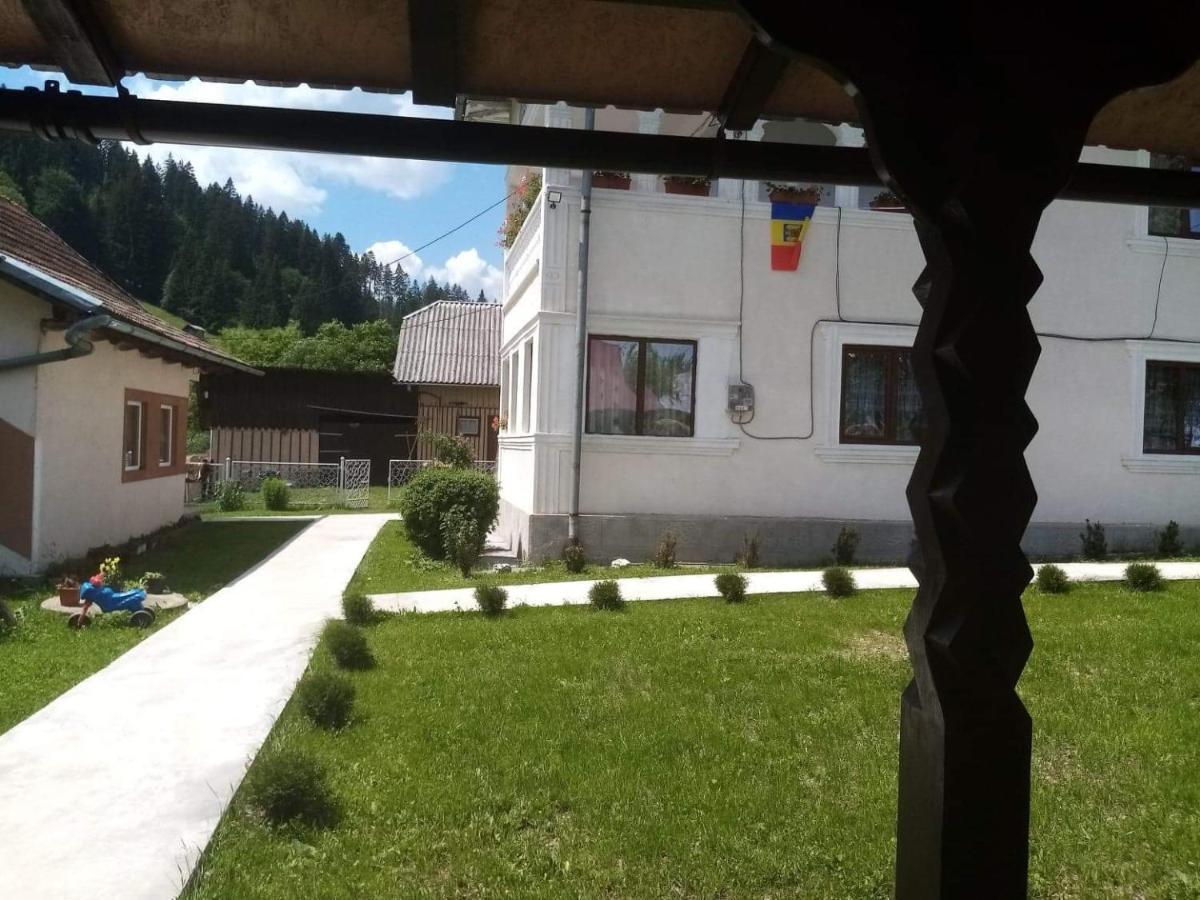Casa Ionescu Hotell Sadova  Eksteriør bilde