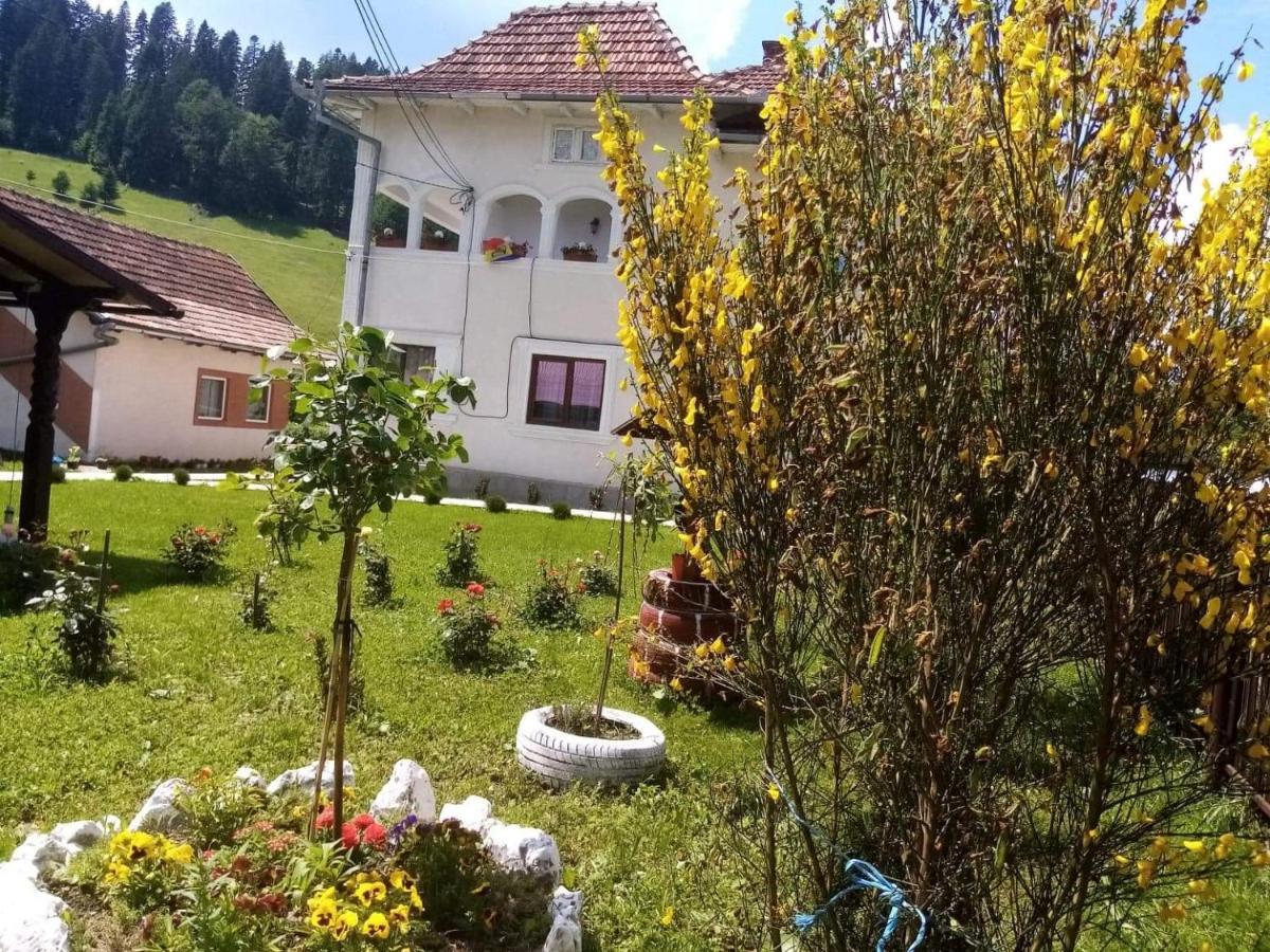 Casa Ionescu Hotell Sadova  Eksteriør bilde