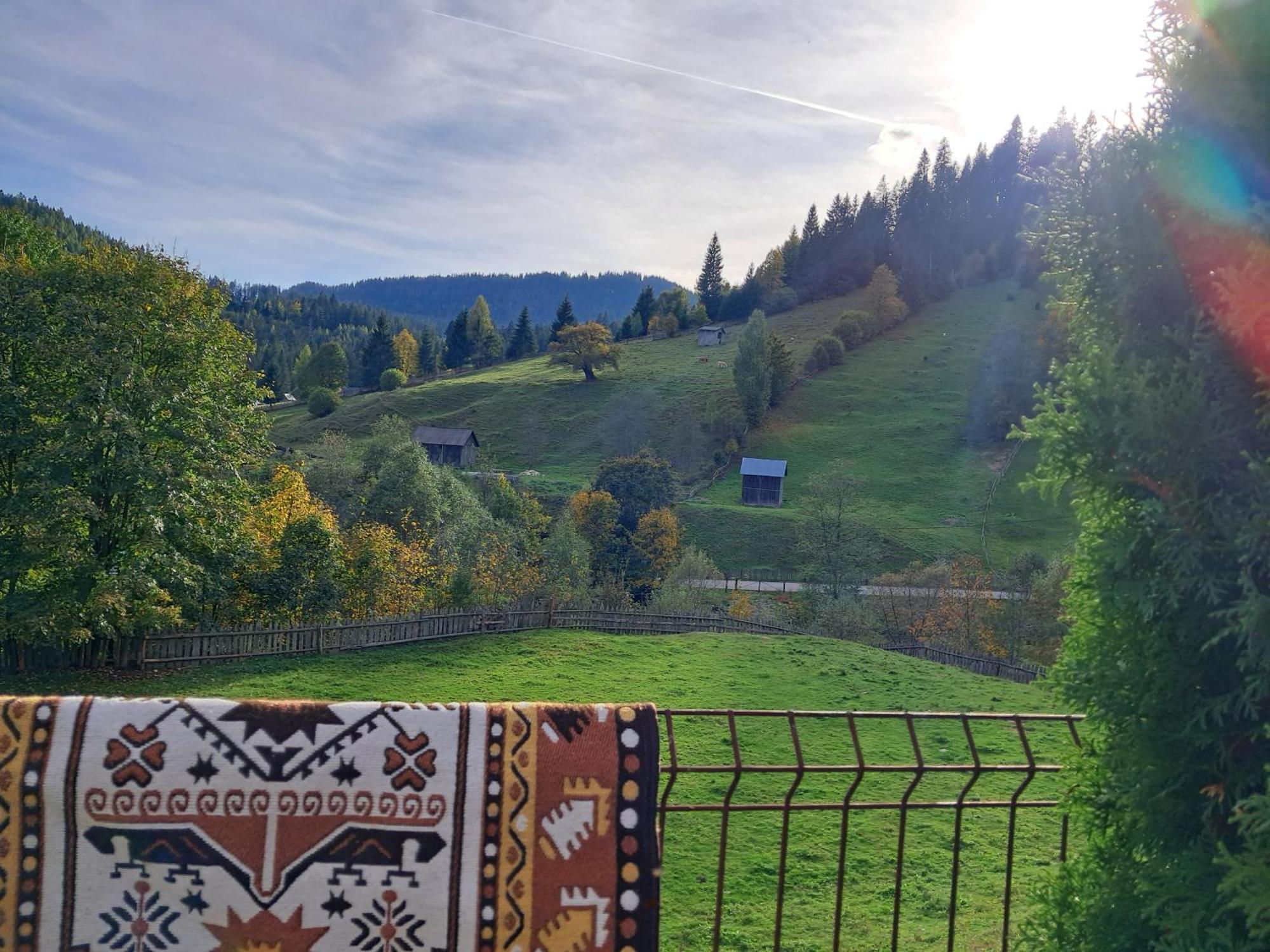 Casa Ionescu Hotell Sadova  Rom bilde