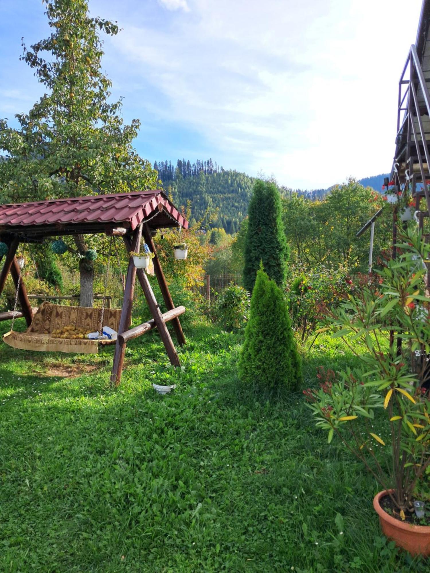 Casa Ionescu Hotell Sadova  Rom bilde