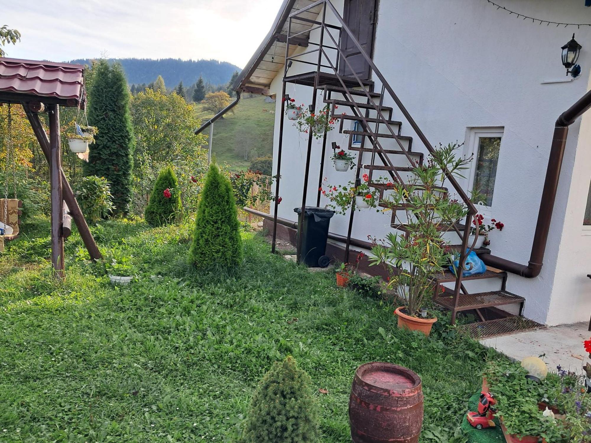 Casa Ionescu Hotell Sadova  Rom bilde