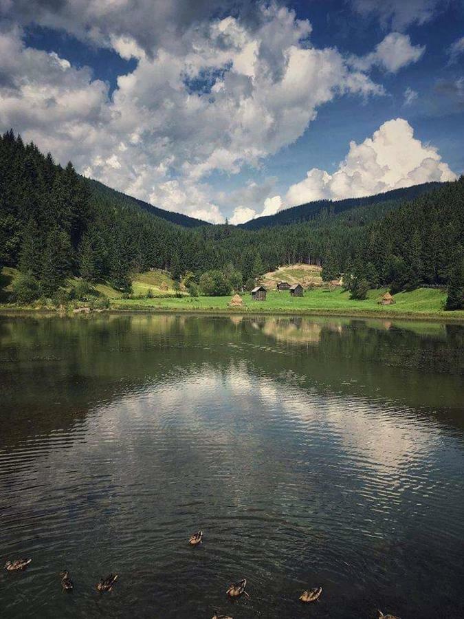 Casa Ionescu Hotell Sadova  Eksteriør bilde